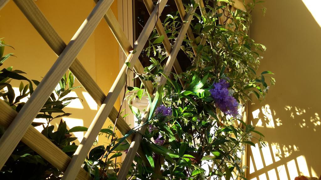 Casa Di Campagna Dal Pozzo Sorso Quarto foto